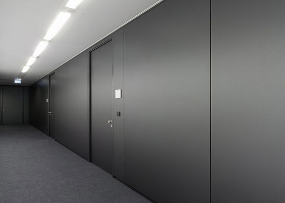 Hospital Solid Partition Wall Double Steel Acoustic Soundproof Partitions For Offices