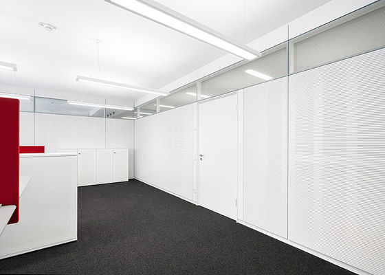 solid partition steel door with lock for office customized size swing door