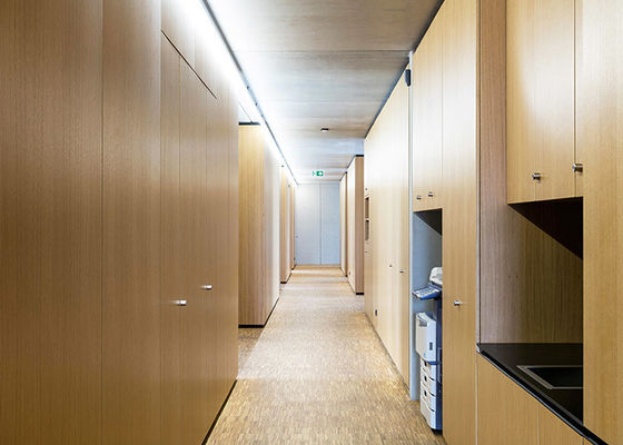 Professional manufacturer wood partition with strong Aluminum panel