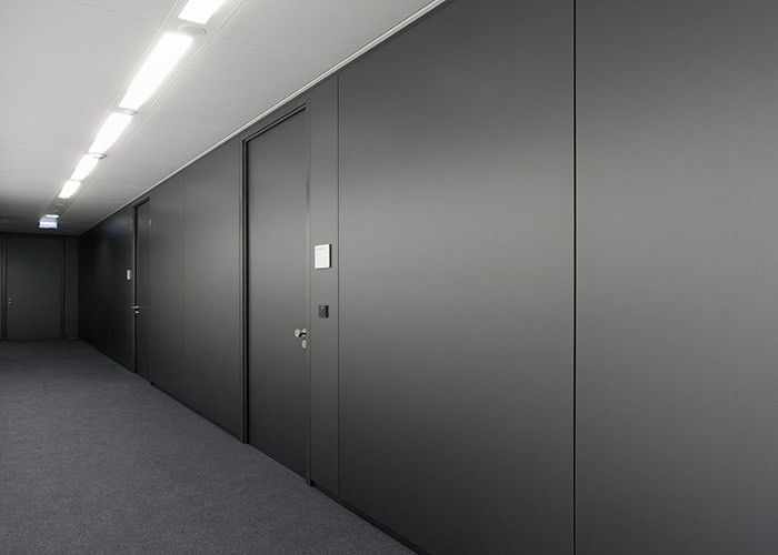 Hospital Solid Partition Wall Double Steel Acoustic Soundproof Partitions For Offices