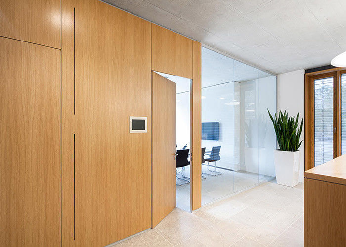 solid partition steel door with lock for office customized size swing door